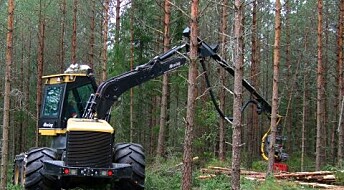 Enkle tiltak for økt karbonfangst i Akershus
