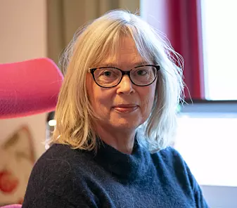 Ulla Higdem er professor på Høgskolen i Innlandet og har forsket mye på norsk lokal og regional samfunnsplanlegging og politikk.