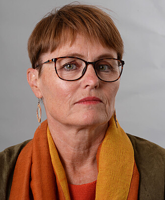 Det samiske er en del av norsk kultur, og dermed norsk mediekultur, mener medieforsker Eli Skogerbø. Det samiske er en del av norsk kultur, og dermed norsk mediekultur, mener medieforsker Eli Skogerbø.