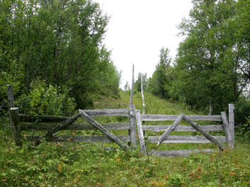 Veien inn i utmarka. Fra Litlåsen-Austuvollen i Tjurdalen, Dalsbygda i Os kommune i Hedmark. (Foto: Per K. Bjørklund/Skog og landskap) Veien inn i utmarka. Fra Litlåsen-Austuvollen i Tjurdalen, Dalsbygda i Os kommune i Hedmark. (Foto: Per K. Bjørklund/Skog og landskap)