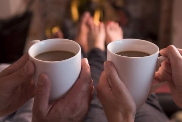 Det bringer fram urinstinkt i oss å sitte foran peisen. Vi mennesker synes det er hyggelig – det ligger dypt i genene våre og har hjulpet oss til å overleve gjennom millioner av år. (Foto: Colourbox) Det bringer fram urinstinkt i oss å sitte foran peisen. Vi mennesker synes det er hyggelig – det ligger dypt i genene våre og har hjulpet oss til å overleve gjennom millioner av år. (Foto: Colourbox)