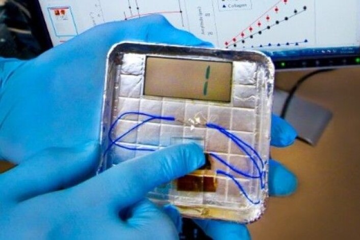 (Foto: Lawrence Berkeley National Lab) (Foto: Lawrence Berkeley National Lab)