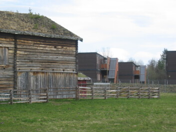 En del av museumsbygning med nyere boliger bak (utenfor museumsområdet), fra Trøndelag folkemuseum på Sverresborg. (Foto: Lone Ross Gobakken / Skog og landskap) En del av museumsbygning med nyere boliger bak (utenfor museumsområdet), fra Trøndelag folkemuseum på Sverresborg. (Foto: Lone Ross Gobakken / Skog og landskap)