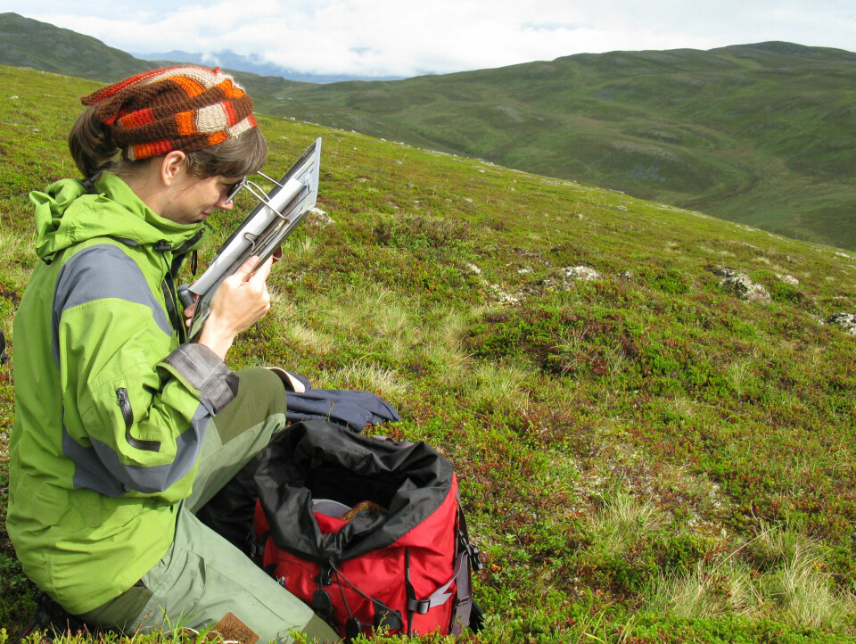 Linda Aune-Lundberg studerer tredimensjonale flybilder under vegetasjonskartlegging i Kvalsund kommune i Finnmark. (Foto: Per K. Bjørklund/Skog og landskap)