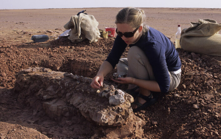 Tara Smiley deltok i utgravningen av Bunostegos-skjelettet. (Foto: Christian A. Sidor)