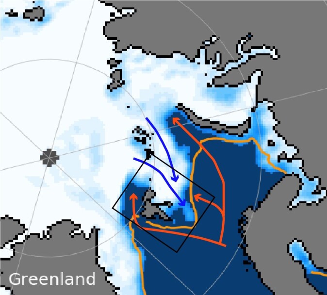 Figur 1: Sjøiskonsentrasjon (hvit) for 5. februar 2021 hentet fra National Snow and Ice Data Center (nsidc.org). Den oransje linjen markere middelposisjonen til sjøiskant for denne datoen (05.02.21) over årene 1981-2010. De røde bilene indikerer hvor det varme atlanterhavsvannet strømmer og de blå piler verser hvor Arktisk vann strømmer inn i Barentshavet. Den svarte boksen viser toktet og AeN prosjektets studieområde. Figur 1: Sjøiskonsentrasjon (hvit) for 5. februar 2021 hentet fra National Snow and Ice Data Center (nsidc.org). Den oransje linjen markere middelposisjonen til sjøiskant for denne datoen (05.02.21) over årene 1981-2010. De røde bilene indikerer hvor det varme atlanterhavsvannet strømmer og de blå piler verser hvor Arktisk vann strømmer inn i Barentshavet. Den svarte boksen viser toktet og AeN prosjektets studieområde.