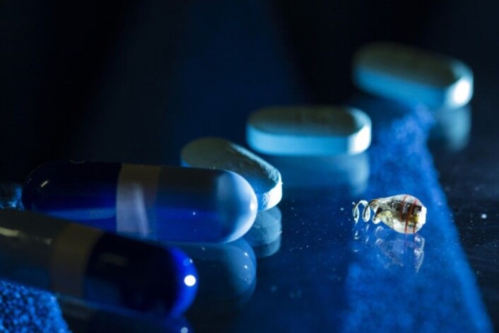 Et implantat på størrelse med et riskorn kan fungere som en pacemaker. (Foto: Austin Yee/Stanford University) Et implantat på størrelse med et riskorn kan fungere som en pacemaker. (Foto: Austin Yee/Stanford University)