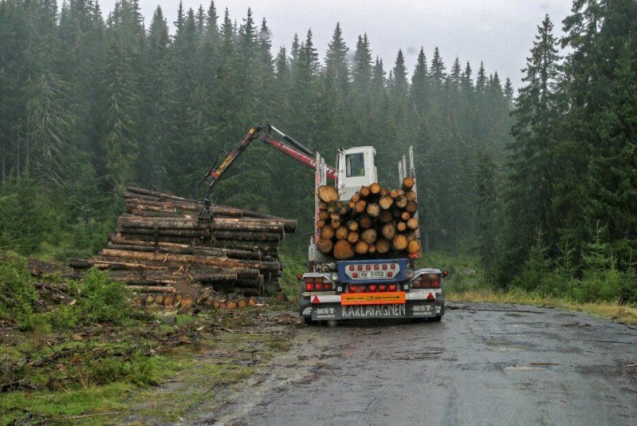 Skogbruket med tenester knytt til skogbruk sysselsette om lag 6 900 personer i 2018.