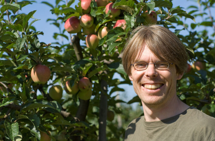 Forsker Geir Kjølberg Knudsen ved Bioforsk. (Foto: Erling Fløistad) Forsker Geir Kjølberg Knudsen ved Bioforsk. (Foto: Erling Fløistad)