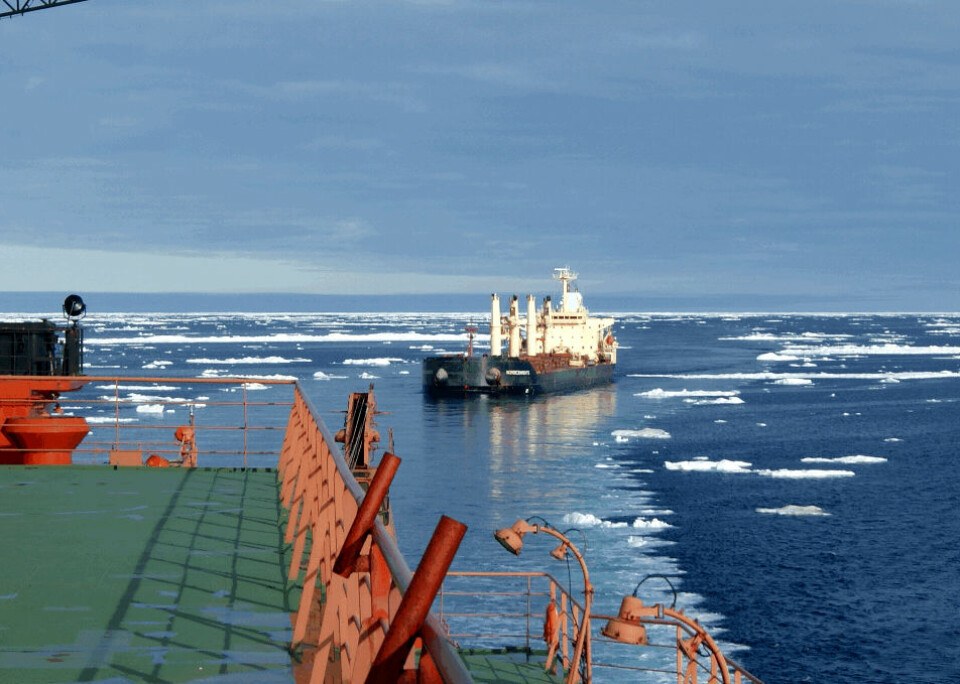 Forskning på isforholdene i Polhavet blir viktig i årene framover. Bildet viser M/V 'Nordic Barents' på vei fra Kirkenes gjennom nordøstpassasjen til Kina med 41 000 tonn malm fra Sydvaranger Gruve AS. (Foto: Tschudi Shipping) (Foto: Tschudi Shipping)