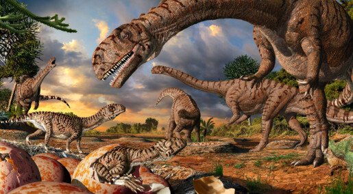 Slik reagerer verden på dinosaurstudien