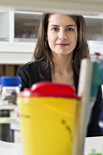 Adrijana Skugor disputerte 17. juni på Institutt for husdyr- og akvakulturvitenskap (IHA) ved UMB. (Foto: Jon-Are Berg-Jacobsen/Nofima) Adrijana Skugor disputerte 17. juni på Institutt for husdyr- og akvakulturvitenskap (IHA) ved UMB. (Foto: Jon-Are Berg-Jacobsen/Nofima)
