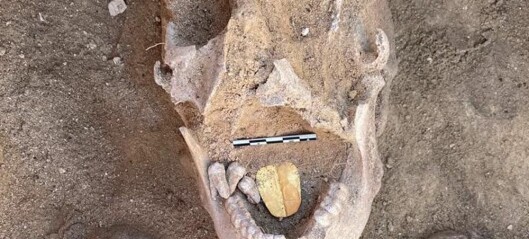 Denne mumien ble funnet med tunge av gull