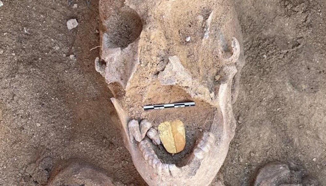 De som begravde dette mennesket for 2000 år siden, trodde kanskje at gulltunga skulle hjelpe personen til å snakke med guden Osiris etter døden. De som begravde dette mennesket for 2000 år siden, trodde kanskje at gulltunga skulle hjelpe personen til å snakke med guden Osiris etter døden.