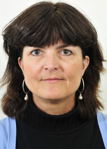 Statsviteren Tora Skodvin mener at det amerikanske valget neste år vil ha stor betydning for klimaavtalen. (Foto: UiO) Statsviteren Tora Skodvin mener at det amerikanske valget neste år vil ha stor betydning for klimaavtalen. (Foto: UiO)