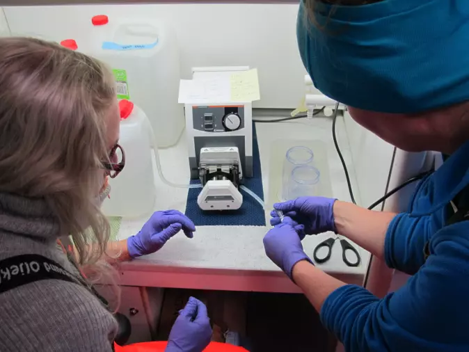 Forskere opparbeider vannprøver fra havbunnen som skal DNA-testes.