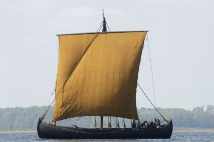 Det kvadratiske seilet har kanskje ikke vært så vanlig i vikingtiden, mener arkeolog Ole Thirup Kastholm. (Foto: Vikingeskibsmuseet i Roskilde.) Det kvadratiske seilet har kanskje ikke vært så vanlig i vikingtiden, mener arkeolog Ole Thirup Kastholm. (Foto: Vikingeskibsmuseet i Roskilde.)