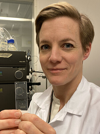 Jorunn Stamnæs, researcher at UiO and administrative coordinator of the KG Jebsen Coeliac Disease Research Centre. Jorunn Stamnæs, researcher at UiO and administrative coordinator of the KG Jebsen Coeliac Disease Research Centre.