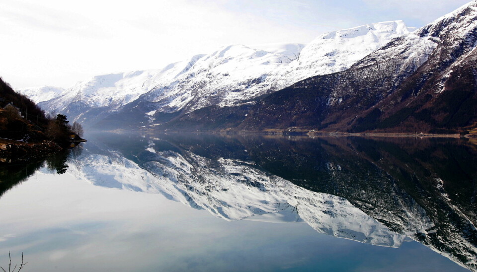 Forskere skal ved hjelp av lyttebøyer finne ut hvordan nisebestanden i Hardangerfjorden lever. Bildet er fra Sørfjorden, en arm av Hardangerfjorden.