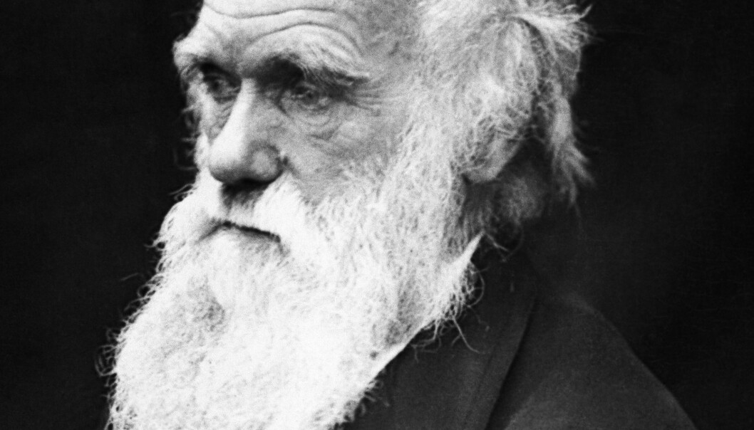 Darwin fordømte slaveriet