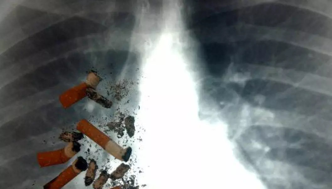 13 millioner kinesere kan reddes fra røyke-døden