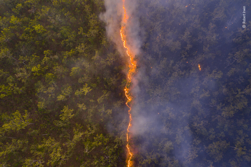 Årets vinnerbildet, med tittelen «Bushfire». Årets vinnerbildet, med tittelen «Bushfire».