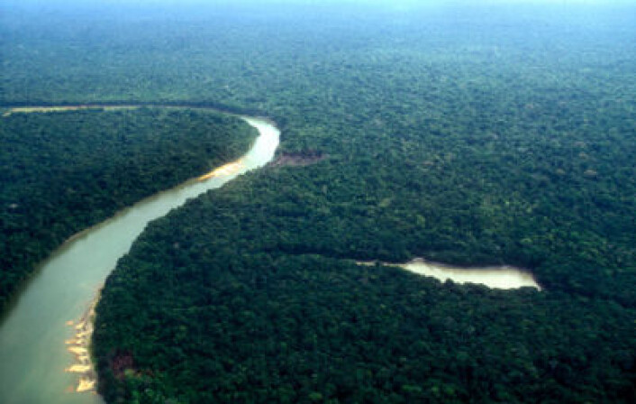 Brasil har oppnåd resultater i forhold til å redusere avskoging i Amazonas som ingen trodde var mulig for ti år siden. (Foto: iStockphoto) Brasil har oppnåd resultater i forhold til å redusere avskoging i Amazonas som ingen trodde var mulig for ti år siden. (Foto: iStockphoto)