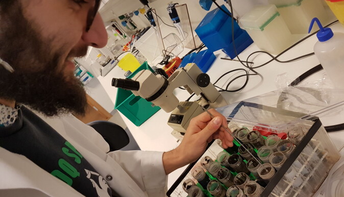 Ph.d.-student Stefano Scilipoti har stått bak laboratorieforsøkene i den nye studien. Her er han i ferd med å klargjøre sedimentprøver som inneholder levende bakterier. Ph.d.-student Stefano Scilipoti har stått bak laboratorieforsøkene i den nye studien. Her er han i ferd med å klargjøre sedimentprøver som inneholder levende bakterier.