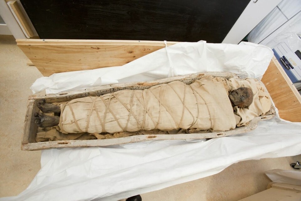 Her ser man den 1 700 år gamle mumien. Dette bildet er tatt like før en skanning ved Montreal Neurological Institute. (Foto: Nicolas Morin)