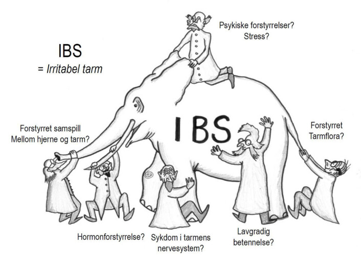 IBS-elefanten. (Foto: (Illustrasjon: Jørgen Valeur)) IBS-elefanten. (Foto: (Illustrasjon: Jørgen Valeur))