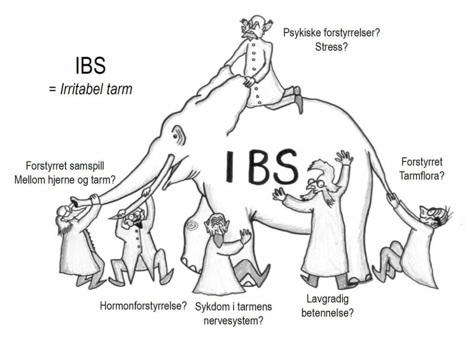 IBS-elefanten. (Foto: (Illustrasjon: Jørgen Valeur))