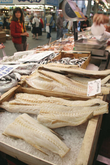 "På dette markedet i Genova tilbyr flere fiskeutsalg ferdig utvannet tørrfisk, slik som her." "På dette markedet i Genova tilbyr flere fiskeutsalg ferdig utvannet tørrfisk, slik som her."