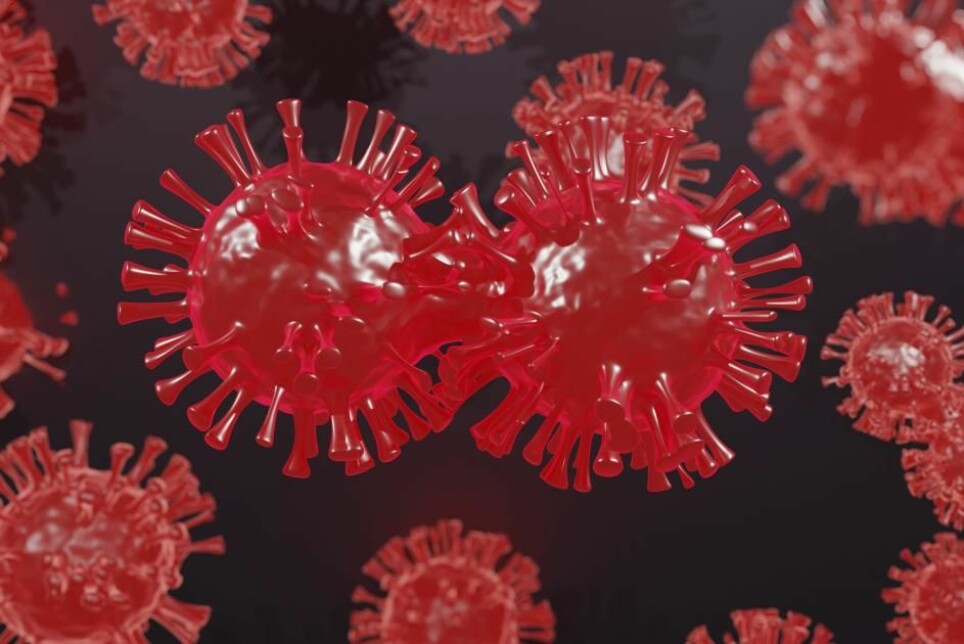 Hver gang et koronavirus deler seg, kan det oppstå en endring i arvematerialet som kan bli til en mutasjon.