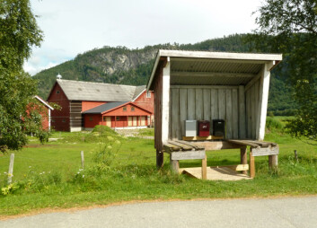 Mjølkerampas tid var ute da meieriet gikk over til å hente melka direkte fra gårdstanken i fjøset. Med det forsvant også en sosial samlingsplass. Noen ramper står fortsatt og kan dekke nye behov. Eksempel fra Sør-Trøndelag. (Foto: Kari Stensgaard/Skog og landskap) Mjølkerampas tid var ute da meieriet gikk over til å hente melka direkte fra gårdstanken i fjøset. Med det forsvant også en sosial samlingsplass. Noen ramper står fortsatt og kan dekke nye behov. Eksempel fra Sør-Trøndelag. (Foto: Kari Stensgaard/Skog og landskap)