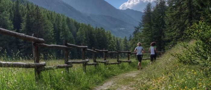 Når du trenar, dannar kroppen mjølkesyre som potensielt kan vera eit forsvar mot Alzheimers. Når du trenar, dannar kroppen mjølkesyre som potensielt kan vera eit forsvar mot Alzheimers.
