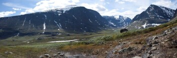 Forskerne er bekymret for at drivstoffet skal spre seg ut i naturen nedenfor fjellet. Der kan det komme inn i næringskjeden og gjøre skade på både dyr og folk. (Foto: Johan Schagerström/Wikimedia Common) Forskerne er bekymret for at drivstoffet skal spre seg ut i naturen nedenfor fjellet. Der kan det komme inn i næringskjeden og gjøre skade på både dyr og folk. (Foto: Johan Schagerström/Wikimedia Common)