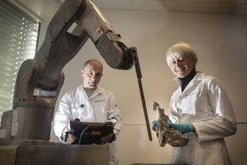 Marit Aursand og Ekrem Misimi på Sintef er fornøyde med sin 6-akse robot som har verktøy-kniv montert på armen. Robotarmen kan brukes for å automatisere ulike operasjoner i fiskeindustrien - som trimming av filet og bløgging av fisk. (Foto: Thor Nielsen) Marit Aursand og Ekrem Misimi på Sintef er fornøyde med sin 6-akse robot som har verktøy-kniv montert på armen. Robotarmen kan brukes for å automatisere ulike operasjoner i fiskeindustrien - som trimming av filet og bløgging av fisk. (Foto: Thor Nielsen)