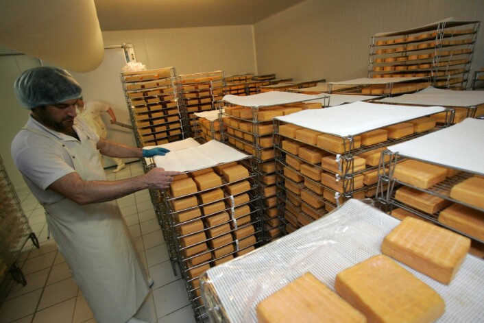 Hvis man tilsetter probiotiske bakterier i den myse-permeaten som blir til overs når man produserer ost, kan man bruke den til å forebygge diaré forårsaket av E. coli-bakterier hos smågriser. (Foto: Colourbox) Hvis man tilsetter probiotiske bakterier i den myse-permeaten som blir til overs når man produserer ost, kan man bruke den til å forebygge diaré forårsaket av E. coli-bakterier hos smågriser. (Foto: Colourbox)