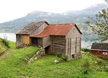 De gamle låvene med store høyloft er ikke særlig hensiktsmessige i dagens gårdsdrift og mange er gått ut av bruk. Samtidig utgjør låvene sentrale elementer i jordbrukslandskapet. I mange miljøer betraktes låvene som verdifulle kulturminner og man er opptatt av å bevare og finne ny bruk til dem. Eksempel fra Sogn og Fjordane. (Foto: Kari Stensgaard/Skog og landskap) De gamle låvene med store høyloft er ikke særlig hensiktsmessige i dagens gårdsdrift og mange er gått ut av bruk. Samtidig utgjør låvene sentrale elementer i jordbrukslandskapet. I mange miljøer betraktes låvene som verdifulle kulturminner og man er opptatt av å bevare og finne ny bruk til dem. Eksempel fra Sogn og Fjordane. (Foto: Kari Stensgaard/Skog og landskap)
