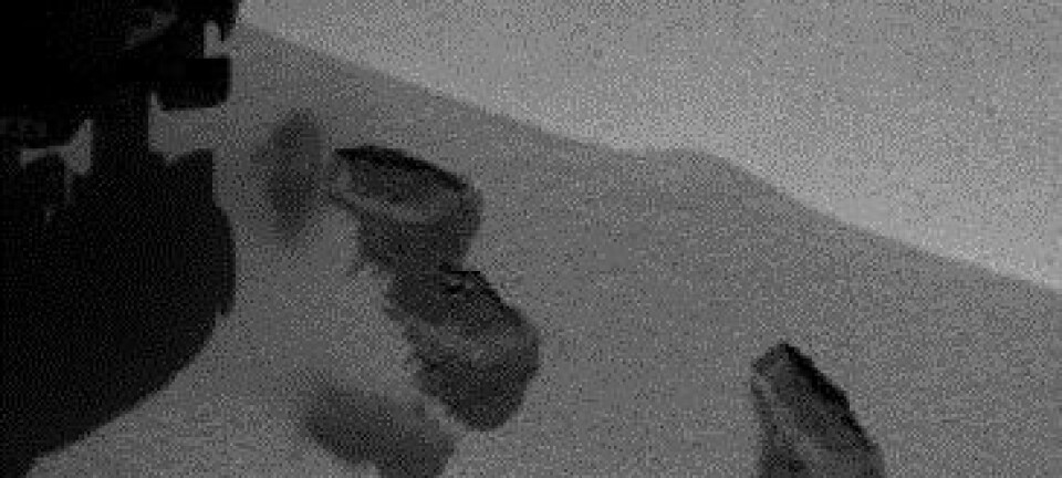 Tre små groper i sanden på Mars viser kvar Curiosity har tatt jafsar av overflata. NASA/JPL-Caltech/MSSS