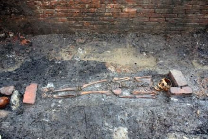 Jorden omkring skjelettet fra et barn som ble begravet ved Ribe Domkirke for 800 år siden, inneholder opplysninger om den siste dagen barnet var i live. (Foto: Sydvestjyske Museer, Ribe) Jorden omkring skjelettet fra et barn som ble begravet ved Ribe Domkirke for 800 år siden, inneholder opplysninger om den siste dagen barnet var i live. (Foto: Sydvestjyske Museer, Ribe)