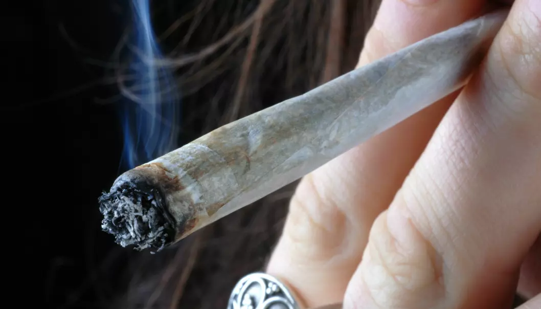 Forskere ved Cambridge University ville se om mye cannabisbruk i tenårene påvirket ungdommenes evne til å tenke, konsentrere seg og lære.