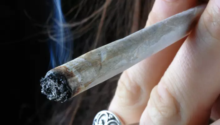 Tenåringer som brukte cannabis ofte, fikk lavere IQ