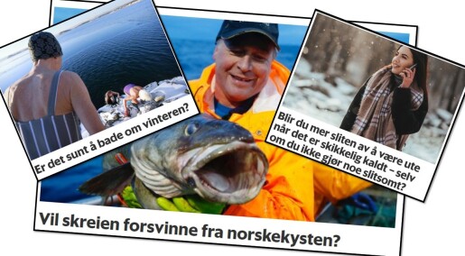 Forskningspodden: Isbading, skrei og trening i sprengkulde Forskningspodden: Isbading, skrei og trening i sprengkulde