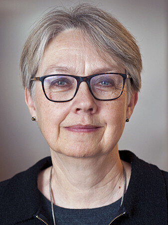 Anne Eriksen, professor i kulturhistorie ved Universitetet i Oslo. Anne Eriksen, professor i kulturhistorie ved Universitetet i Oslo.