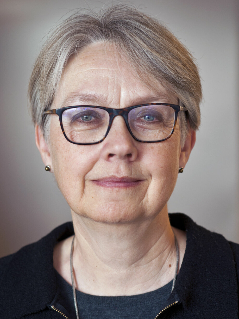 Anne Eriksen, professor i kulturhistorie ved Universitetet i Oslo.
