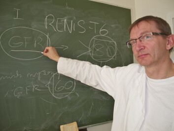 Ifølge professor Bjørn Odvar Eriksen renser kvinners nyrer blodet like effektivt som menns, men det taes det ikke høyde for i dagens medisin. Ifølge professor Bjørn Odvar Eriksen renser kvinners nyrer blodet like effektivt som menns, men det taes det ikke høyde for i dagens medisin.
