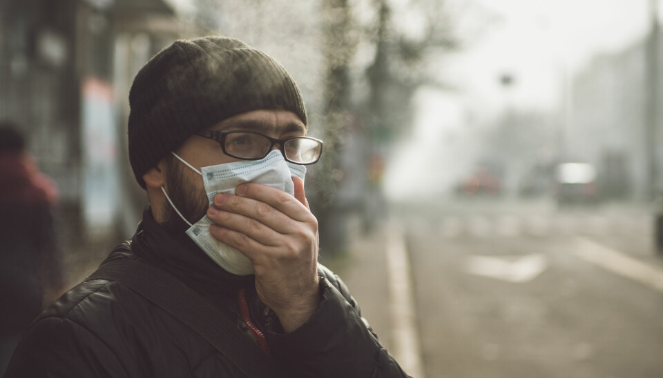 Luftforurensning skaper trøbbel for mer enn lunger og luftveier.