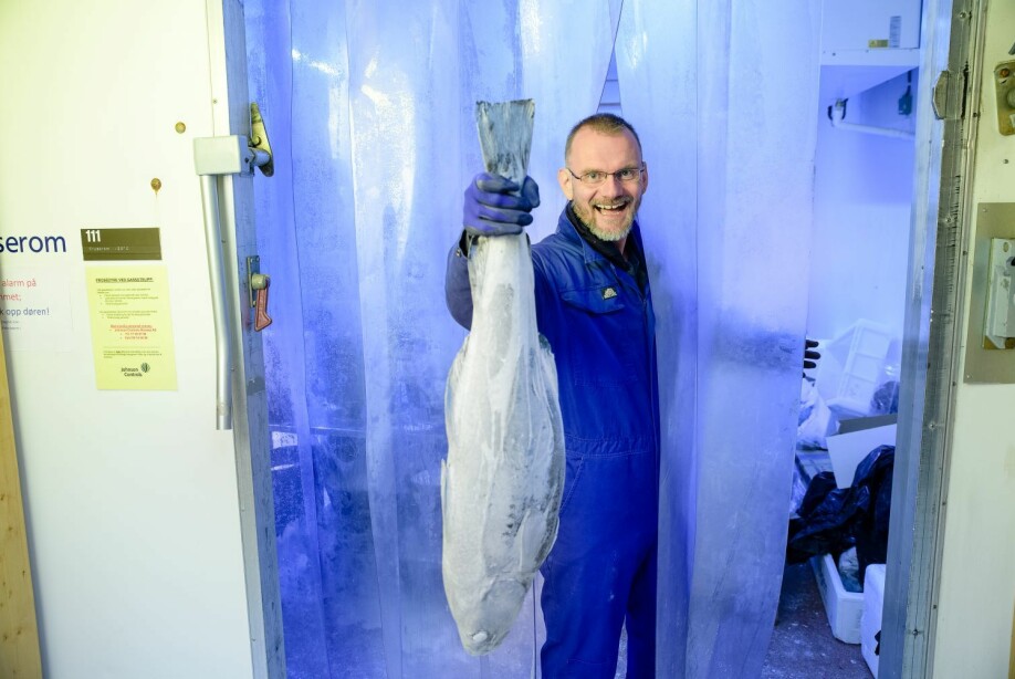 Vanlig frysetemperatur er ikke kaldt nok for lagring av fisk. Lavere frysetemperatur kan gjøre en stor forskjell, sier Svein Kristian Stormo.