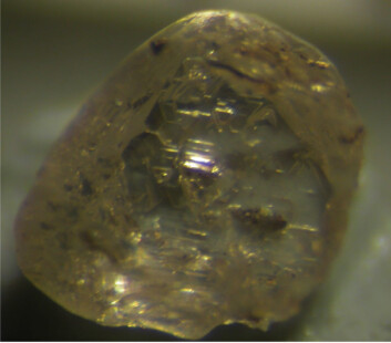 Rå diamant fra Juina i Brasil. Et lite vindu er polert for å se om den har inneslutninger av mineralkorn. (Foto: Science/AAAS) Rå diamant fra Juina i Brasil. Et lite vindu er polert for å se om den har inneslutninger av mineralkorn. (Foto: Science/AAAS)